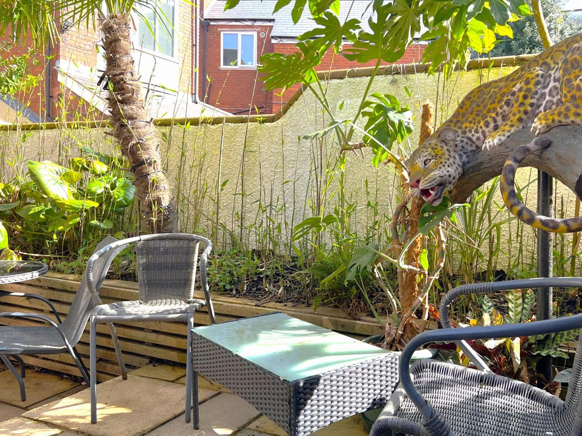 Melbury Rooms & Studios Exeter Dış mekan fotoğraf